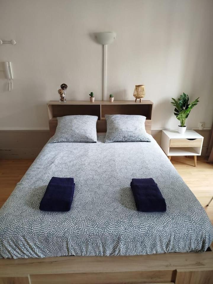 Le Carnot 2 Apartment เบอซองซง ภายนอก รูปภาพ